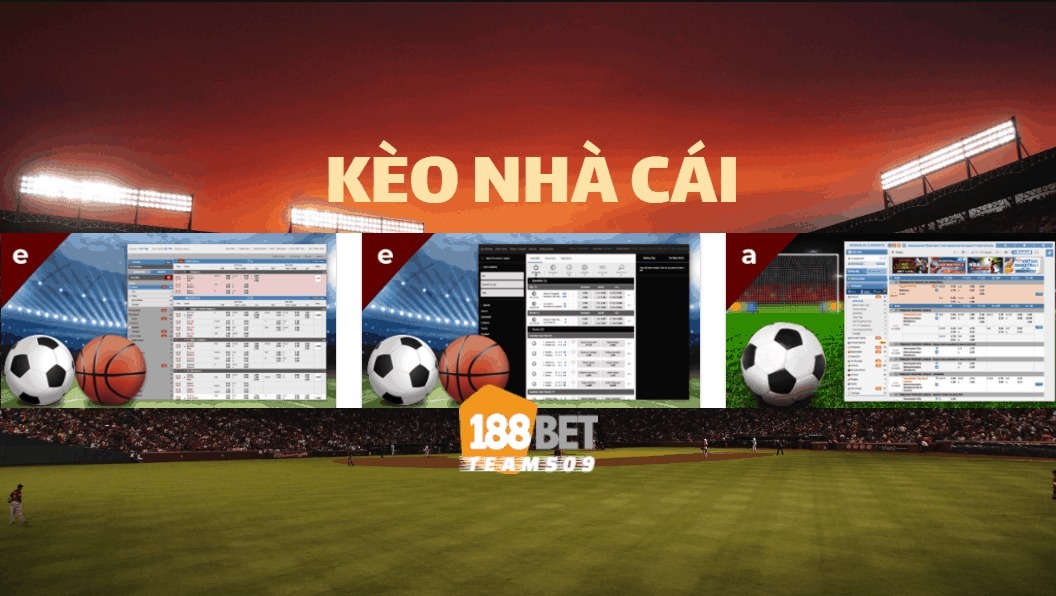 tỷ lệ kèo - Giao diện bảng thống kê phạt góc chi tiết và trực quan